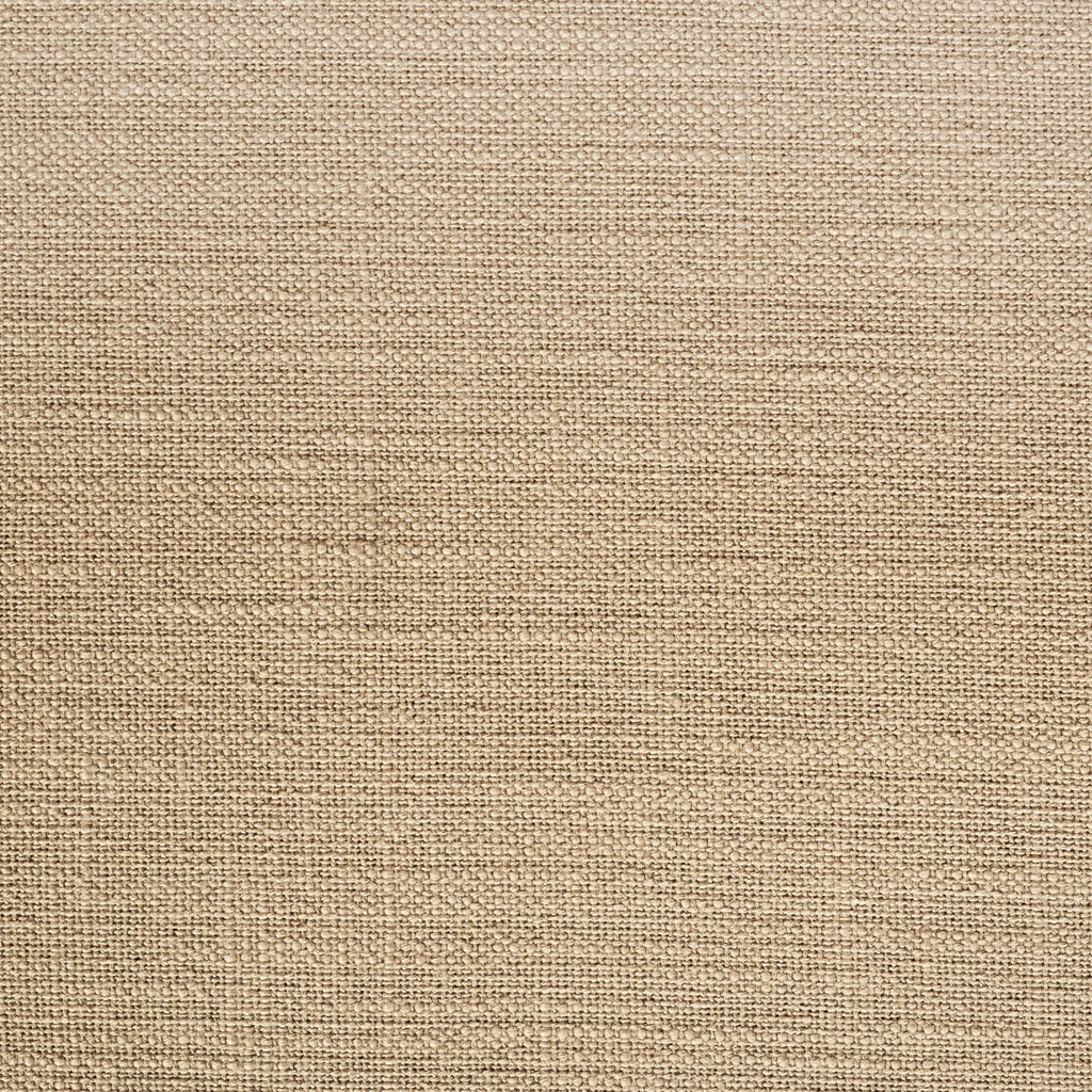 Forge + Arbre du Hall de la Forêt