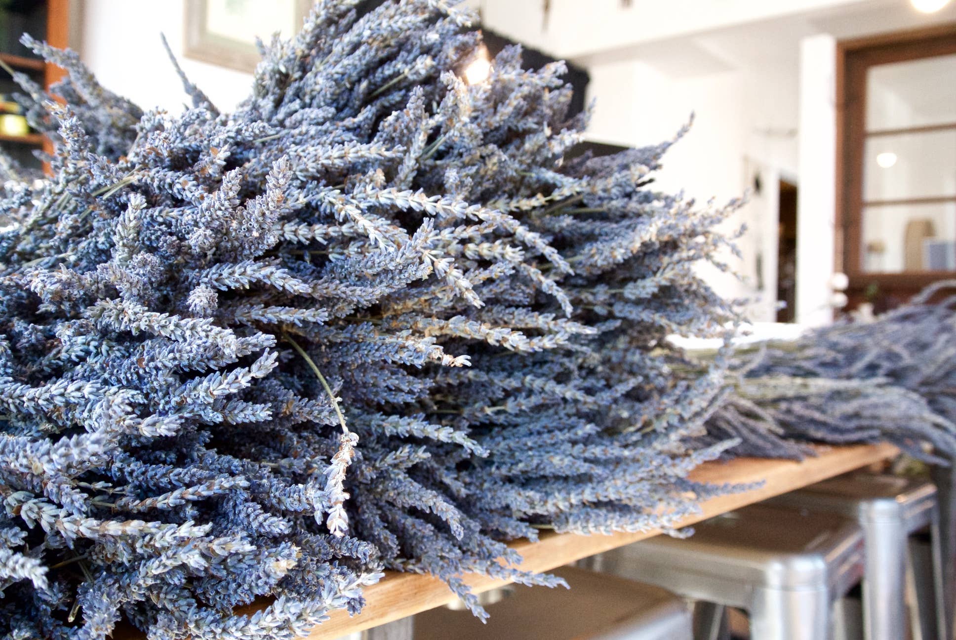 Lavande française Grosso séchée et parfumée