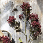 Abigail Ahern Faux Butterfly Bush en Rouge