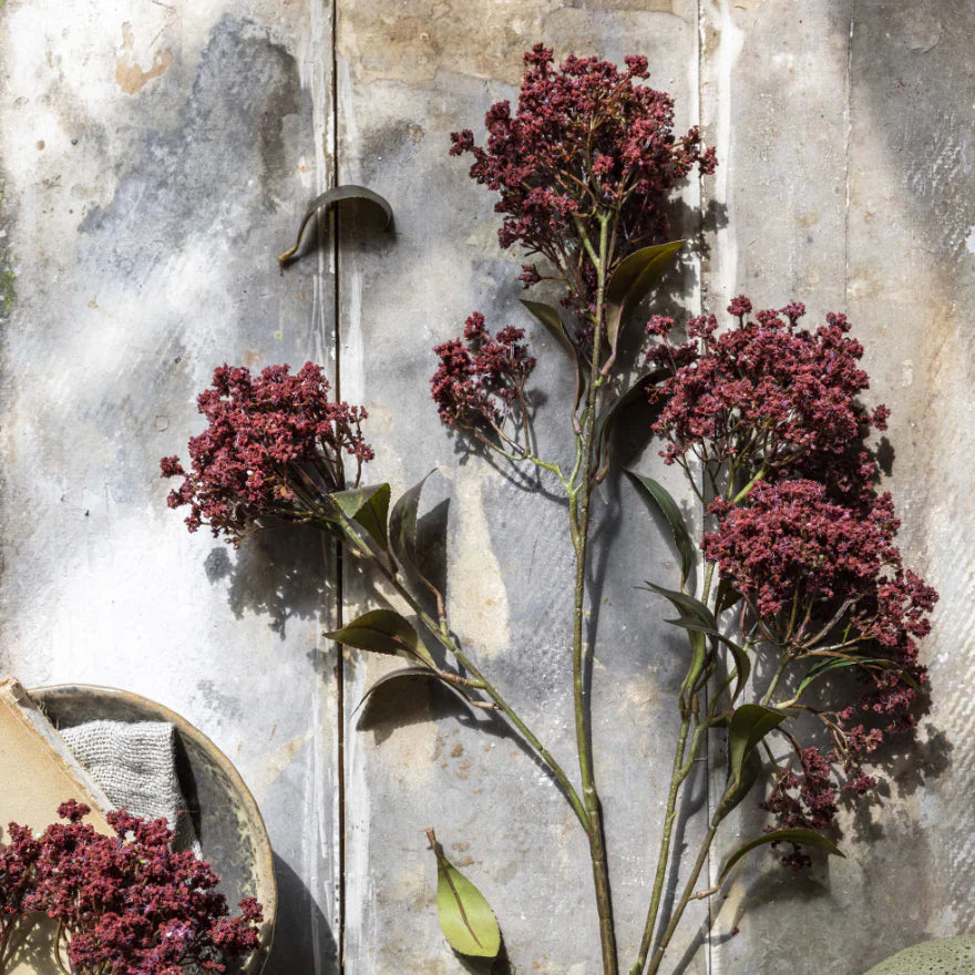 Abigail Ahern Faux Butterfly Bush en Rouge