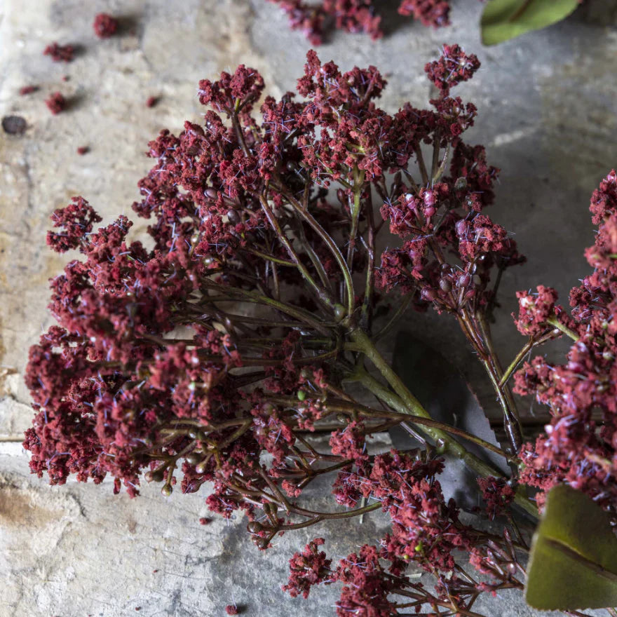Abigail Ahern Faux Butterfly Bush en Rouge