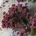 Abigail Ahern Faux Butterfly Bush en Rouge