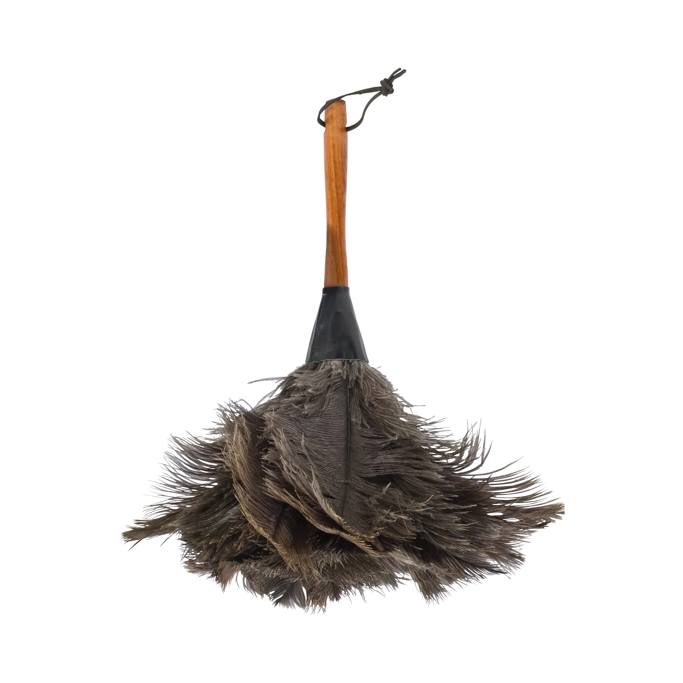 Plumeau court d'autruche