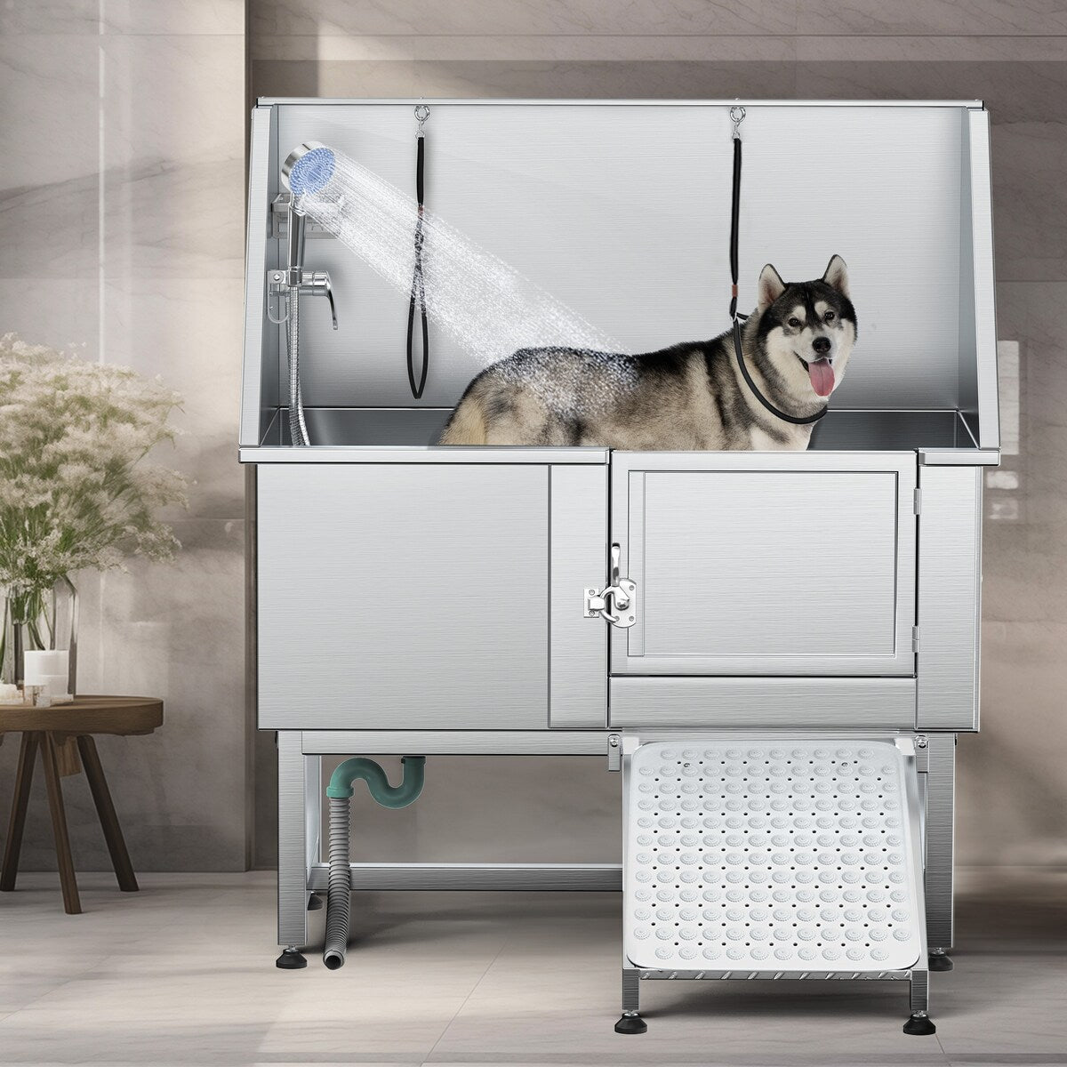 Baignoire de toilettage réglable en acier inoxydable de 127 cm (50 po) de largeur avec rampe d'accès