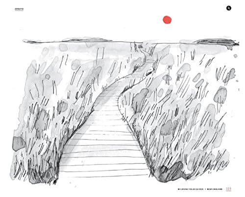 Guide de terrain de la Nouvelle-Angleterre