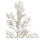 96 brindilles d'arbre mort