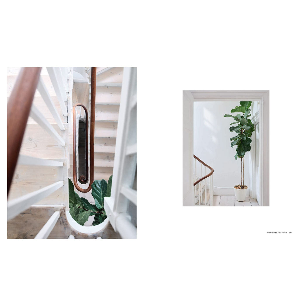 A New Leaf : Des maisons soigneusement sélectionnées où les plantes rencontrent le design