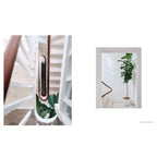 A New Leaf : Des maisons soigneusement sélectionnées où les plantes rencontrent le design