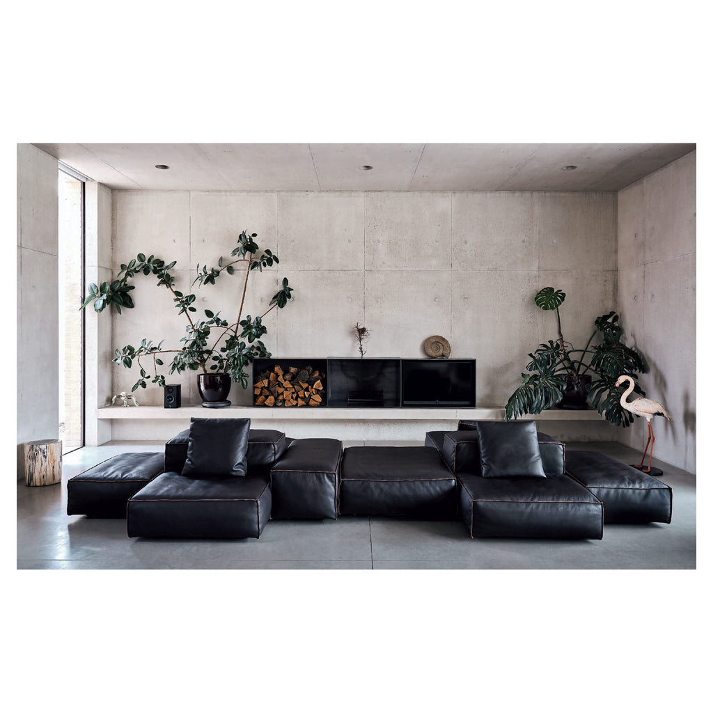 A New Leaf : Des maisons soigneusement sélectionnées où les plantes rencontrent le design