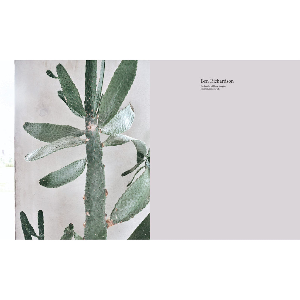 A New Leaf : Des maisons soigneusement sélectionnées où les plantes rencontrent le design