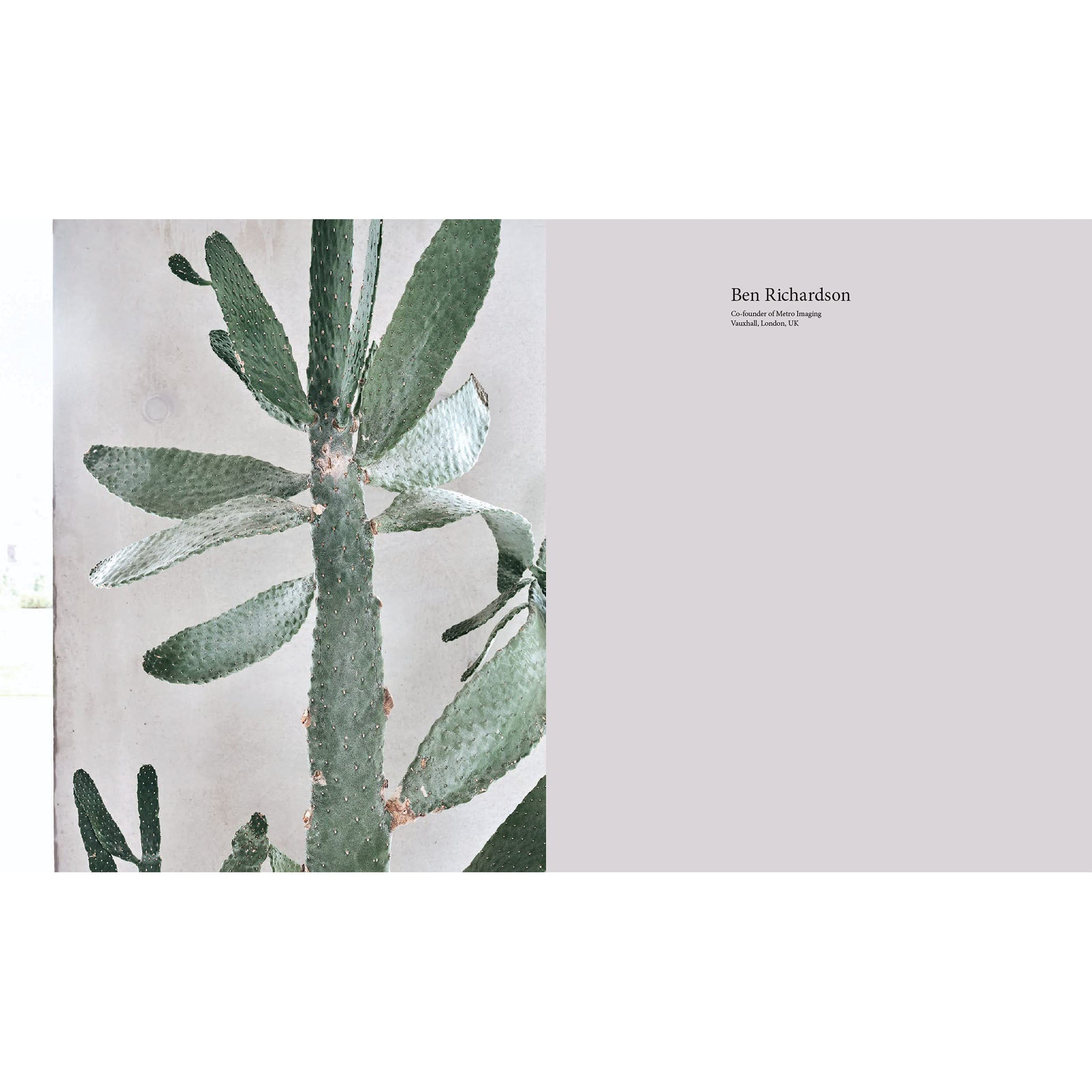 A New Leaf : Des maisons soigneusement sélectionnées où les plantes rencontrent le design