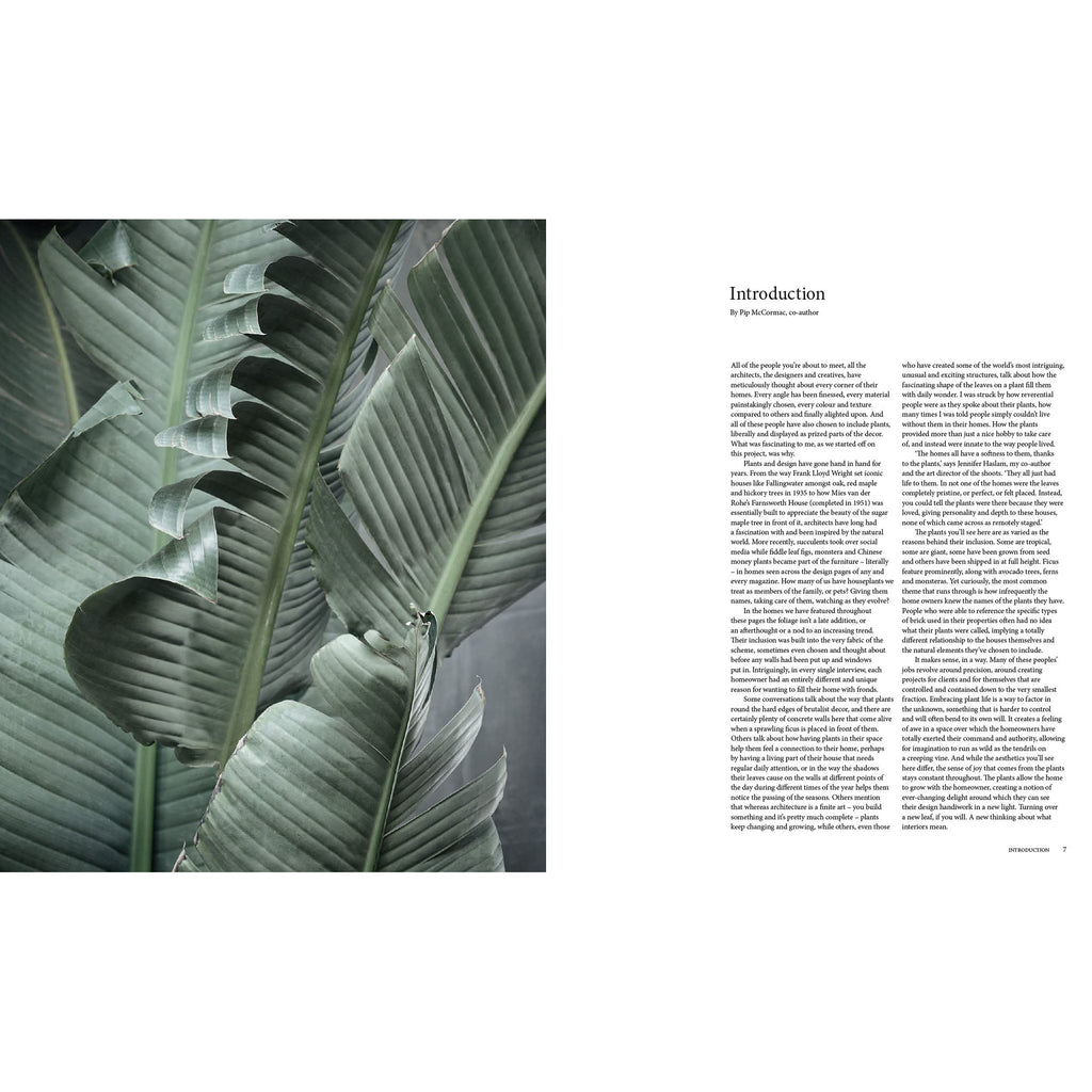 A New Leaf : Des maisons soigneusement sélectionnées où les plantes rencontrent le design