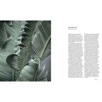 A New Leaf : Des maisons soigneusement sélectionnées où les plantes rencontrent le design