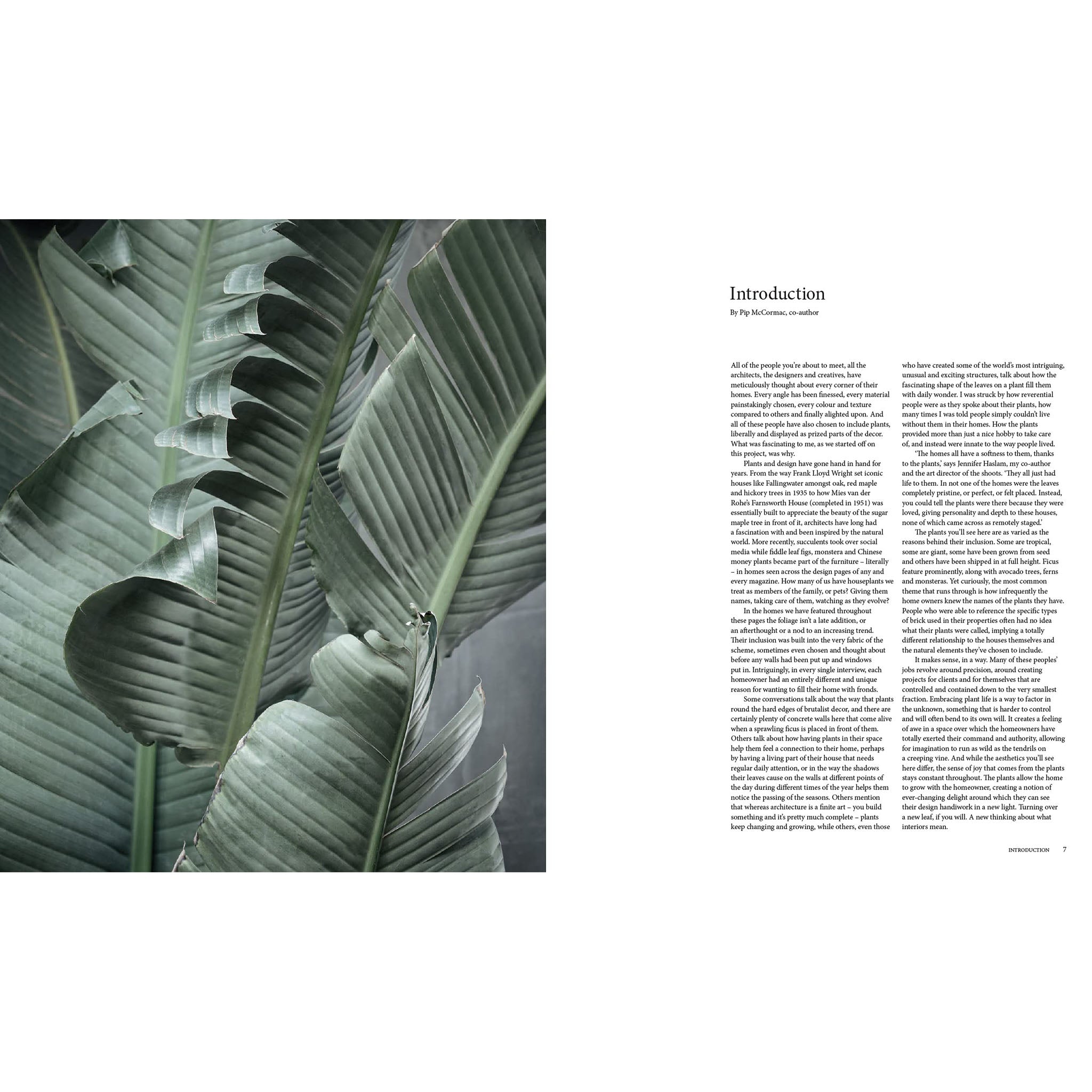 A New Leaf : Des maisons soigneusement sélectionnées où les plantes rencontrent le design