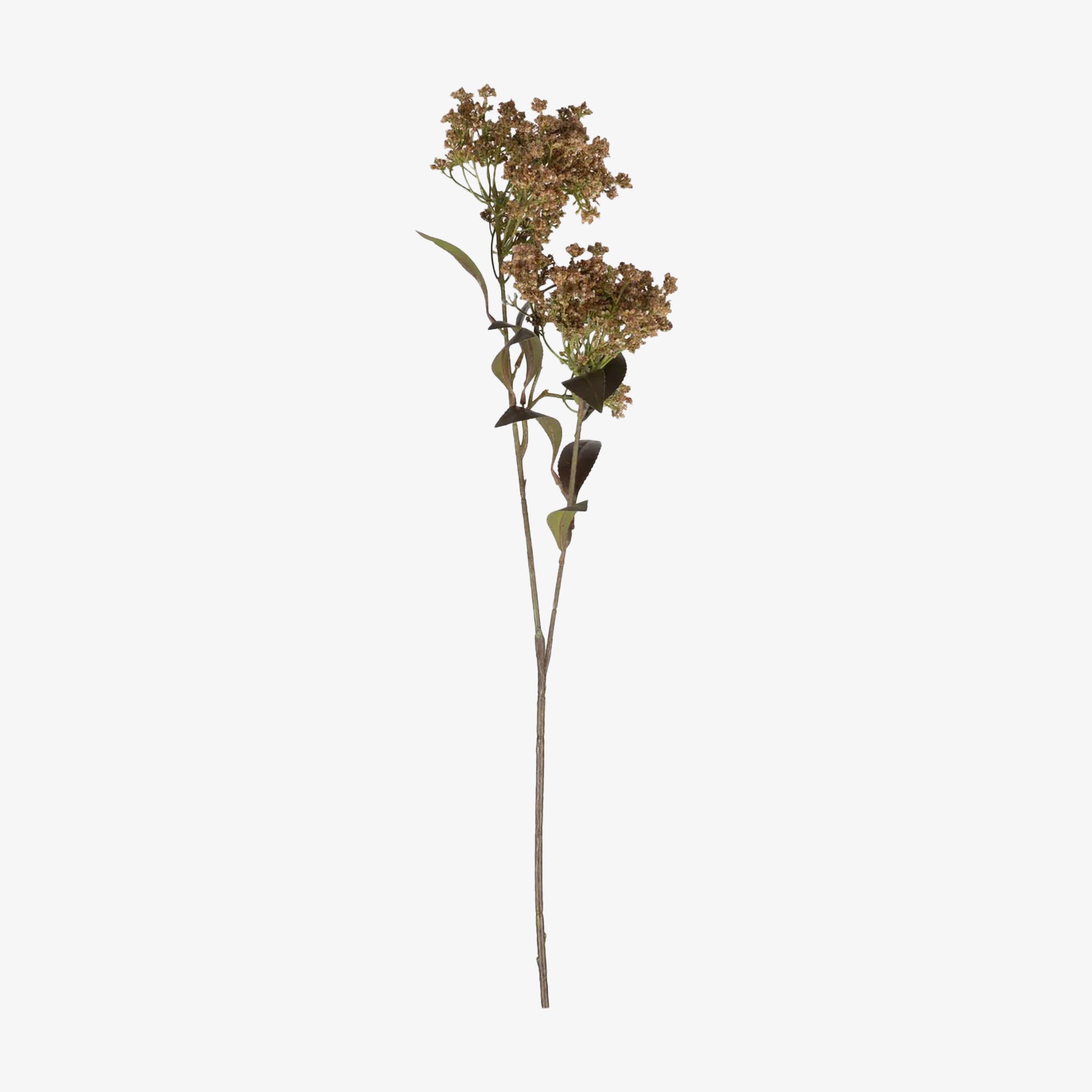 Abigail Ahern Faux Buddleia en naturel
