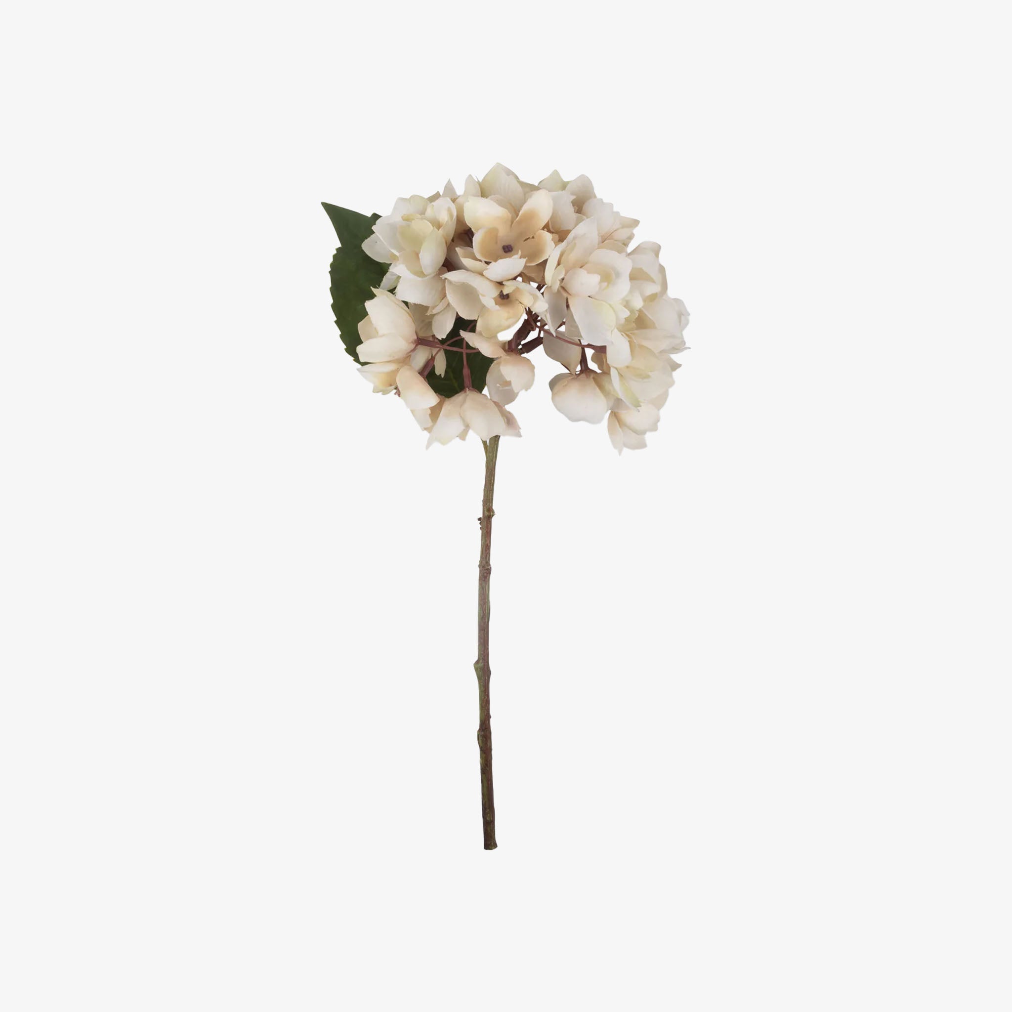Hortensia artificiel Abigail Ahern couleur Brume du matin
