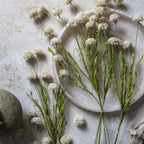 Abigail Ahern Faux grand Melaleuca couleur crème