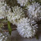 Abigail Ahern Faux grand Melaleuca couleur crème