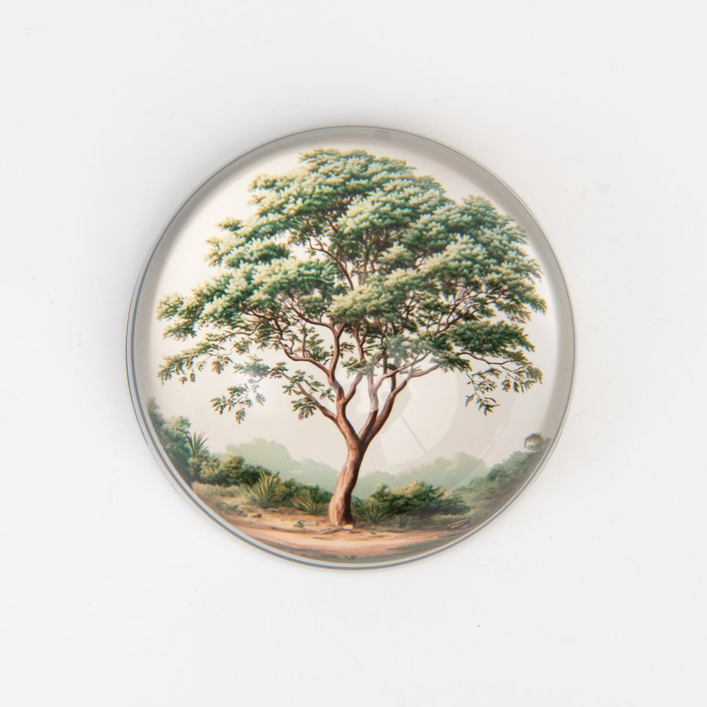 Presse-papier en chêne