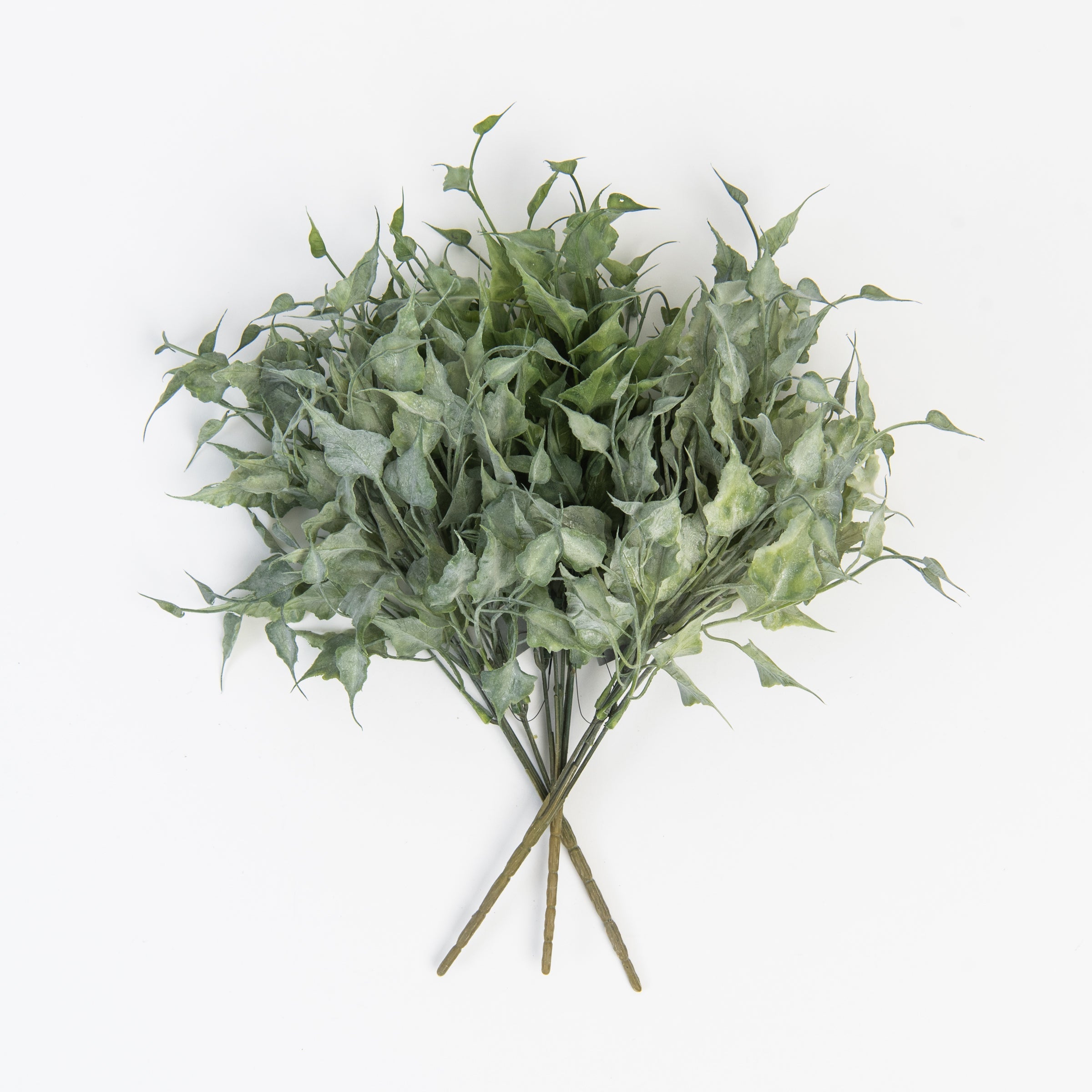 Spray de lierre vert