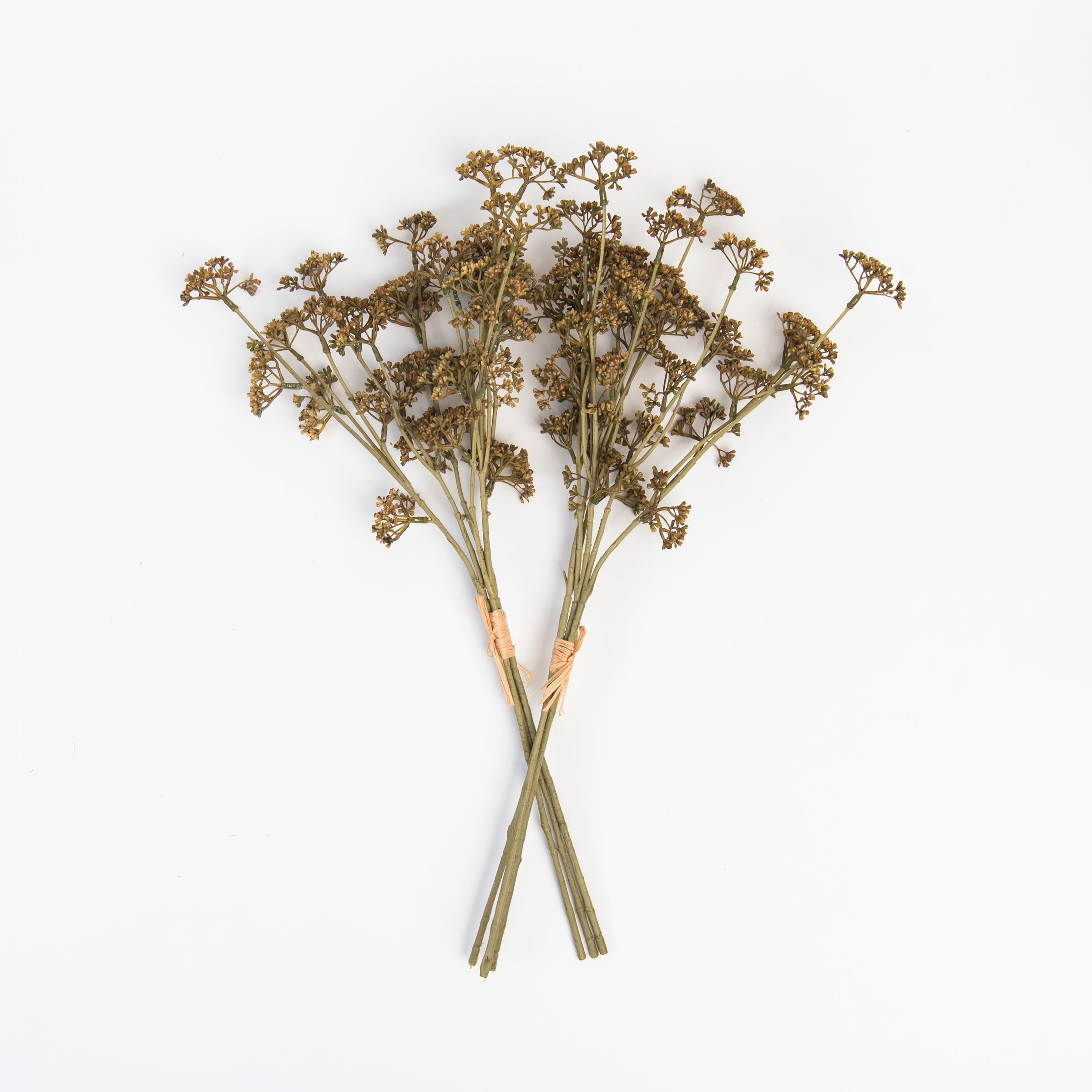 Spray de Sedum au miel