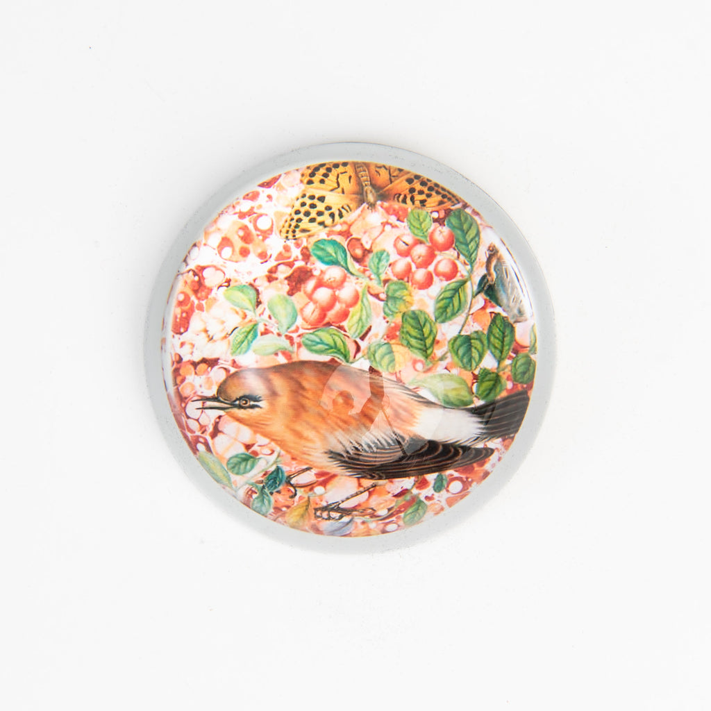 Presse-papier Oiseau n° 24