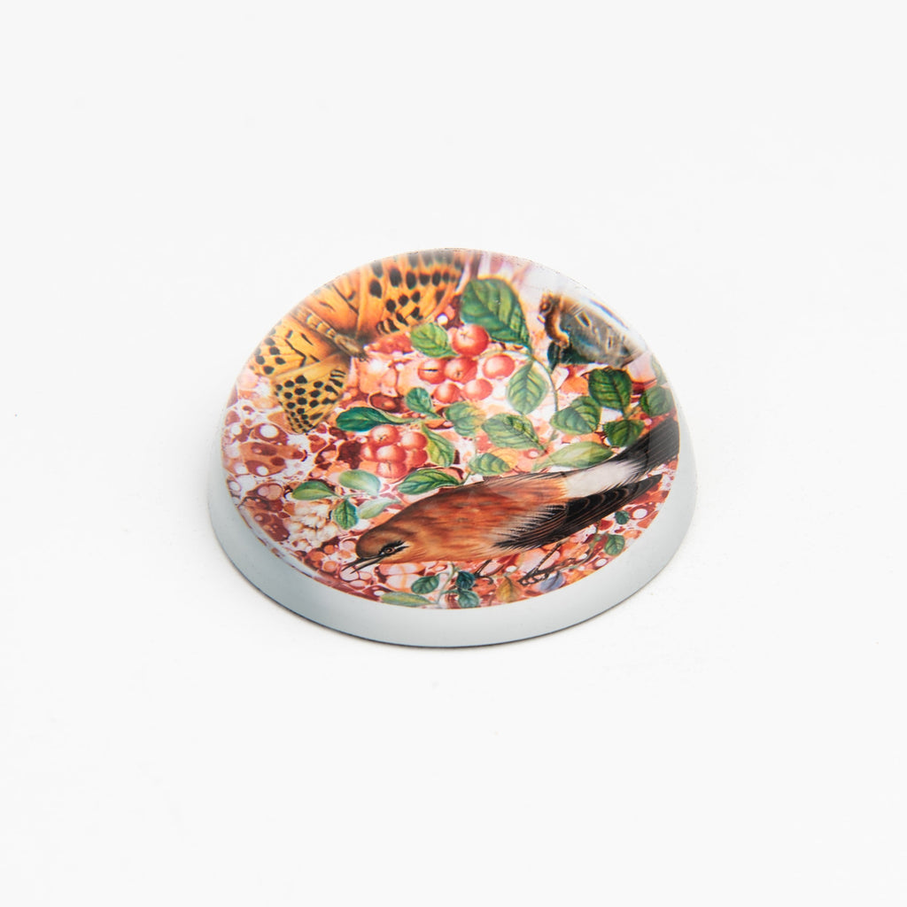 Presse-papier Oiseau n° 24