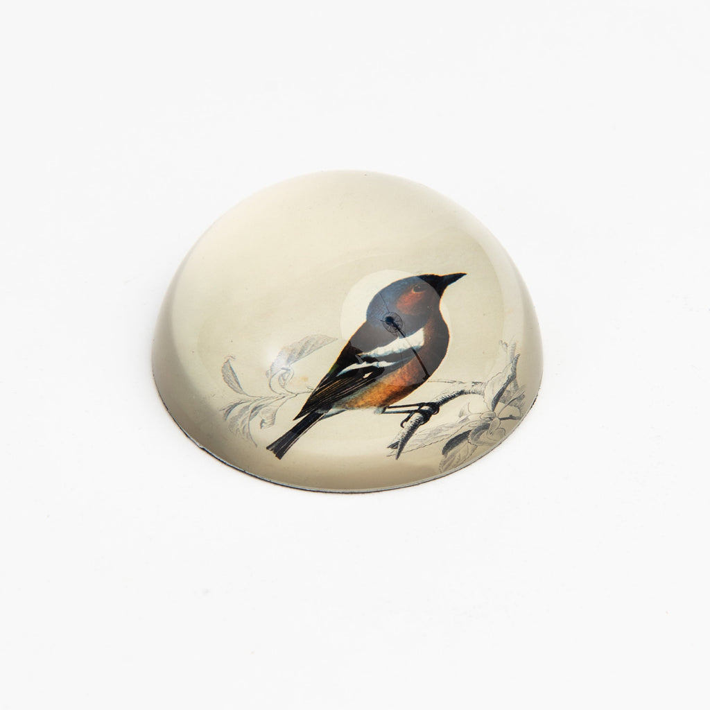 Presse-papier oiseau