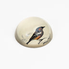 Presse-papier oiseau