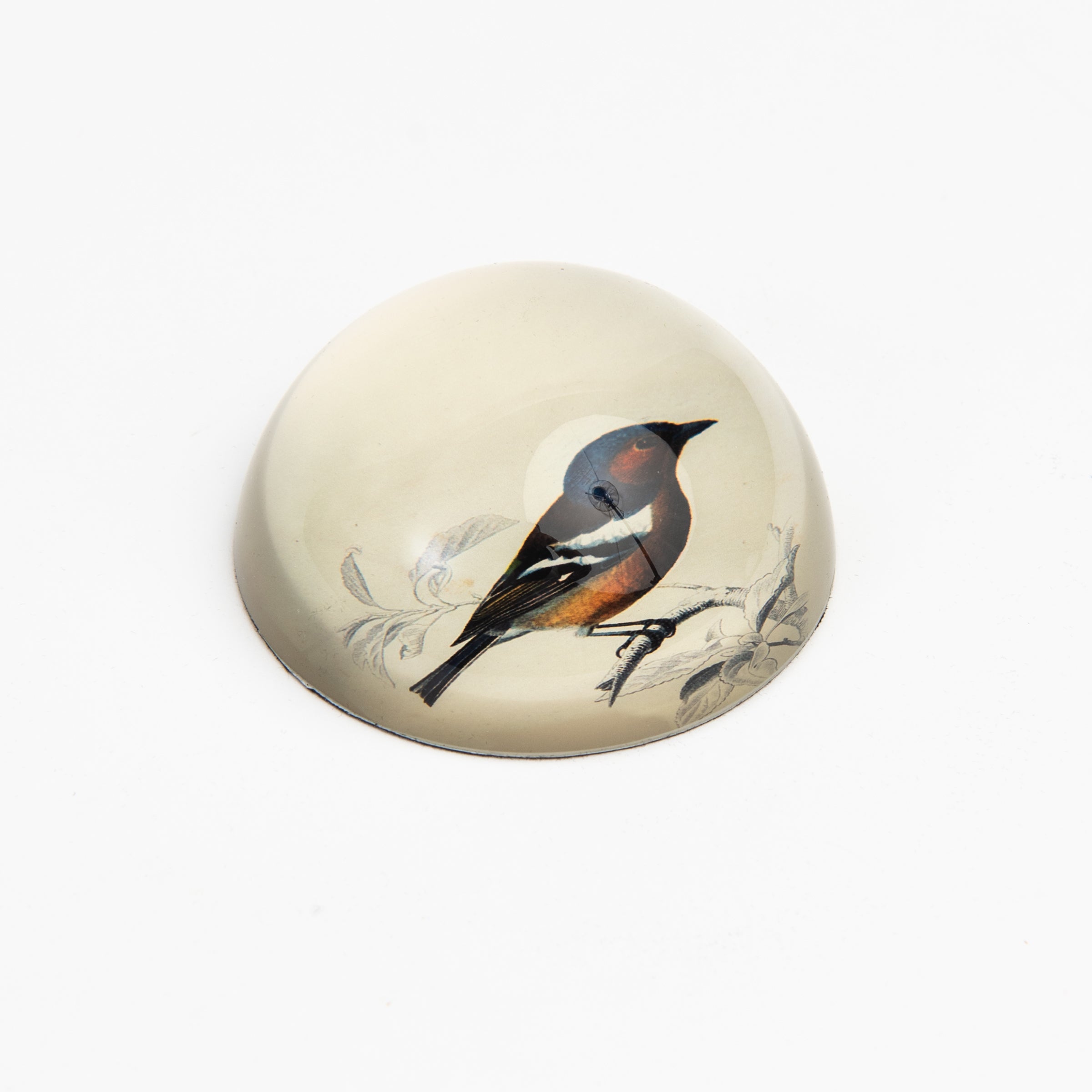 Presse-papier oiseau