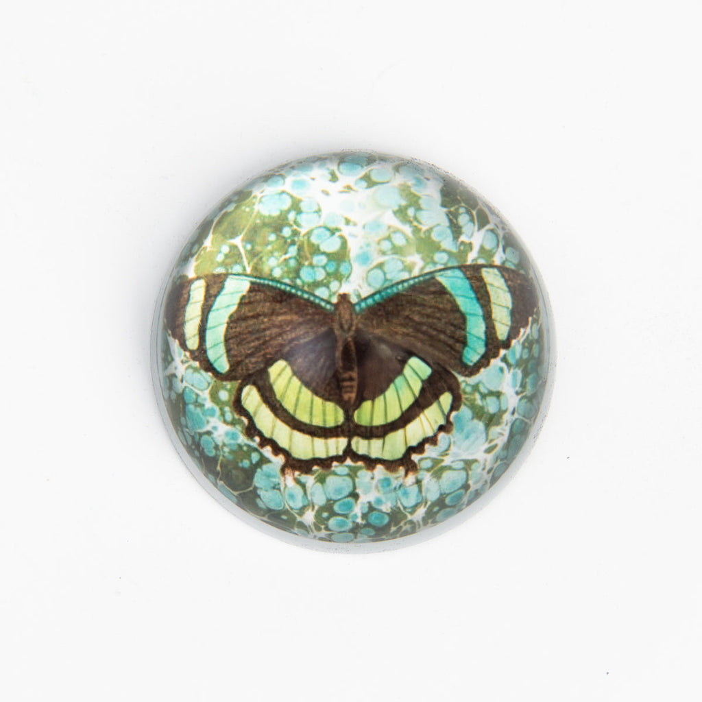 Presse-papier papillon bleu et vert