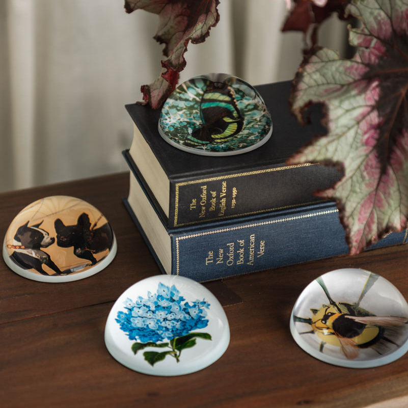 Presse-papier papillon bleu et vert