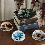 Presse-papier papillon bleu et vert