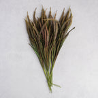 Abigail Ahern Faux Veronica Bunch