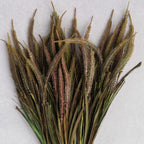 Abigail Ahern Faux Veronica Bunch