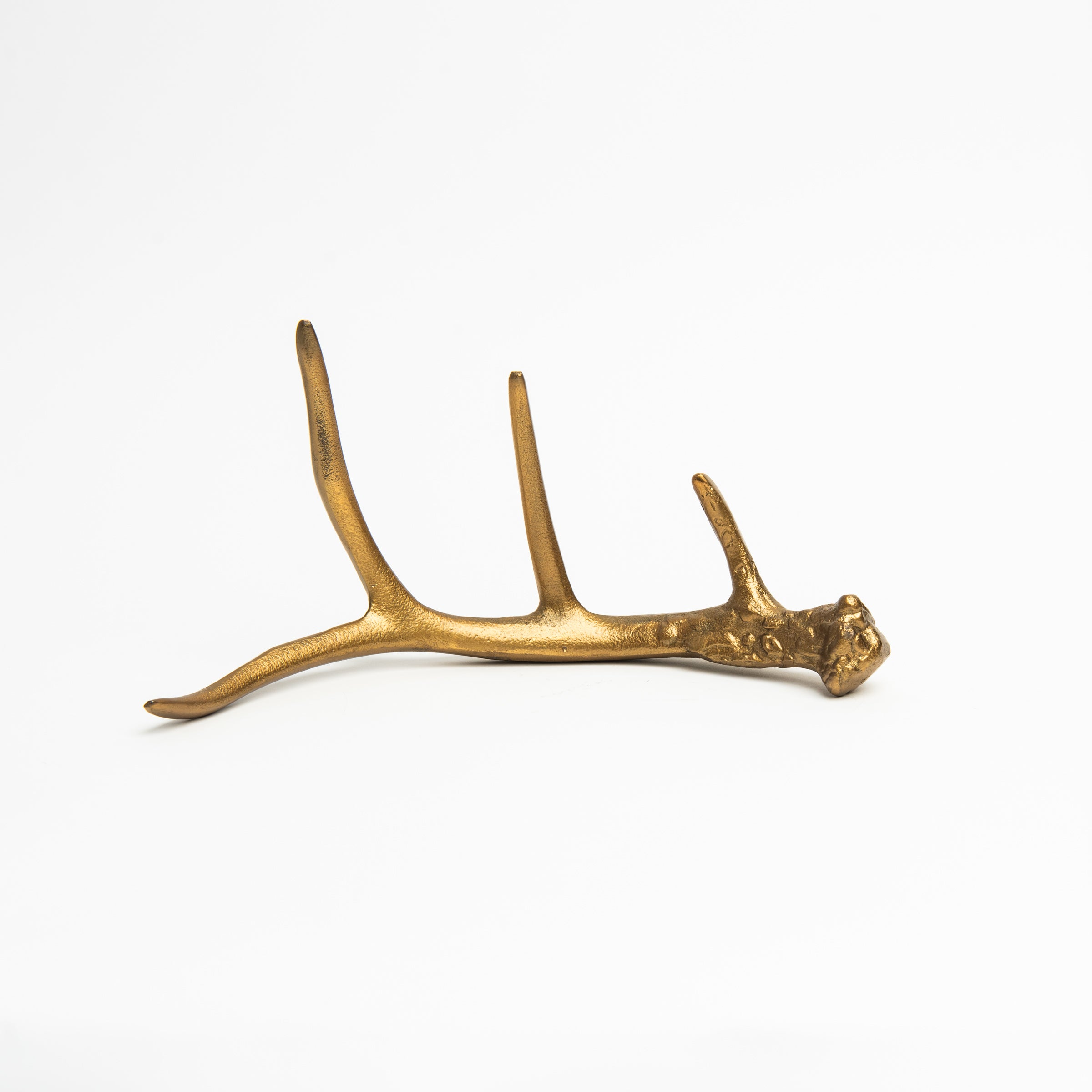 Bois de cerf en or antique