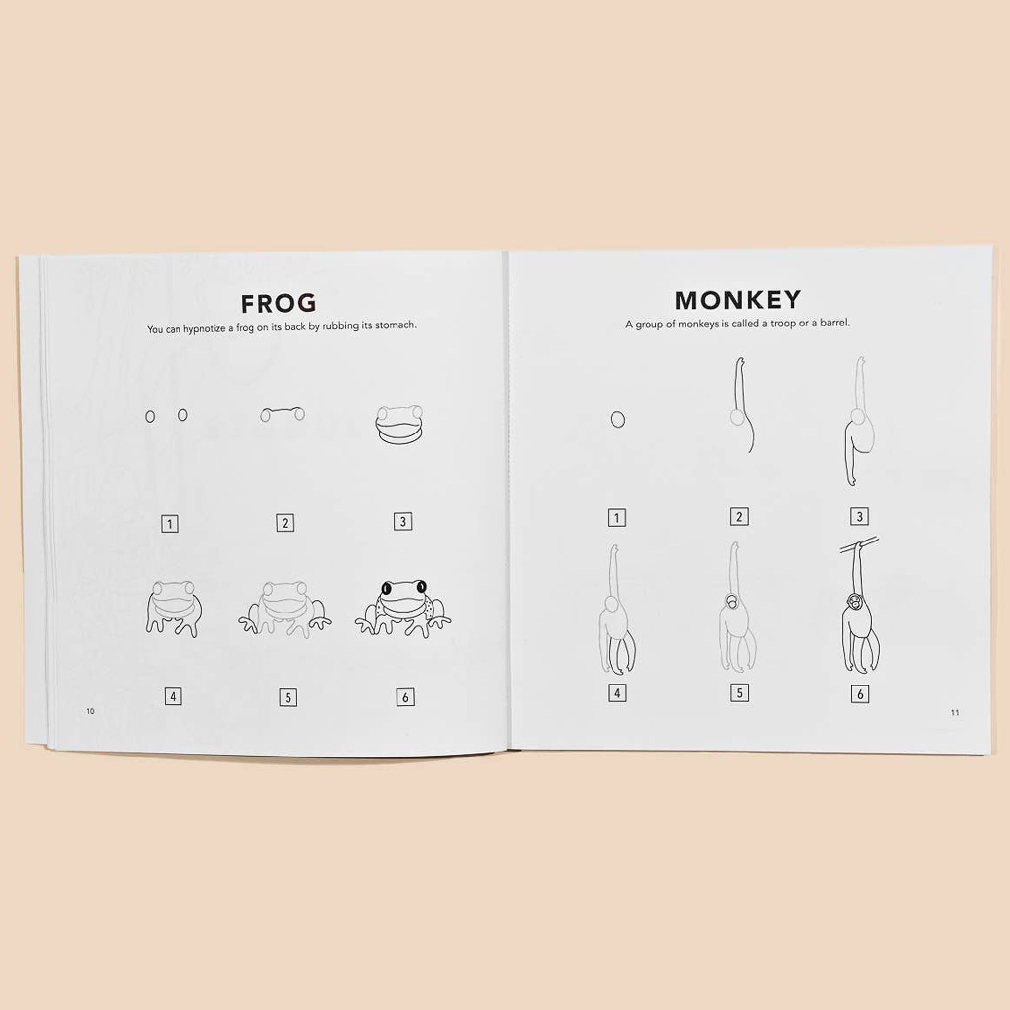 Tous les animaux : un livre d'art pour apprendre à dessiner aux enfants