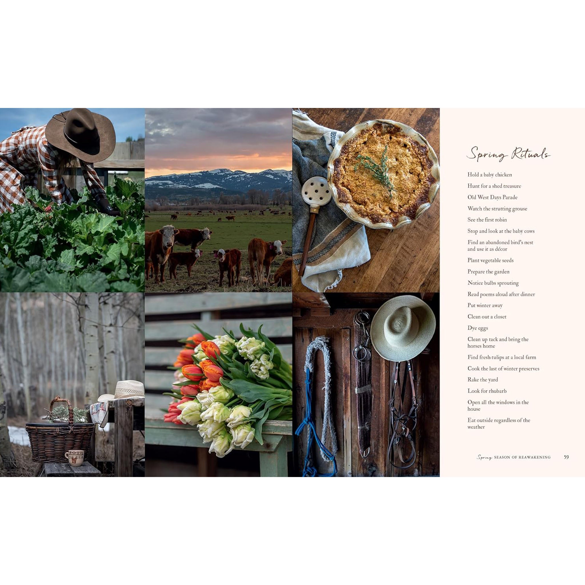 Alpenglow : Célébrations en plein air pour chaque saison