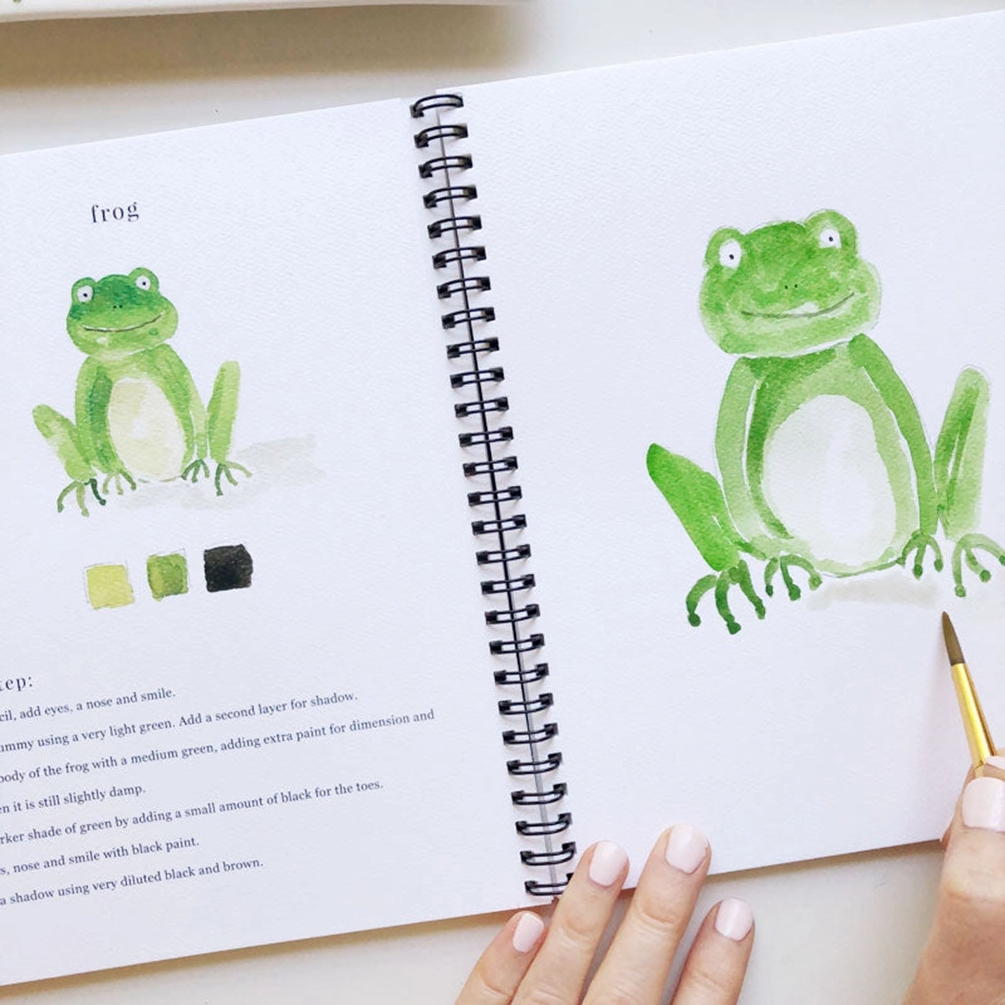 Cahier d'aquarelle sur les animaux