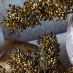 Tige de faux sorgho Abigail Ahern couleur ambre