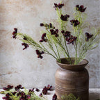 Faux Cosmos couleur Bourgogne d'Abigail Ahern