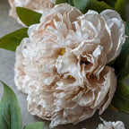 Pivoine artificielle Abigail Ahern couleur Rosée du soir 