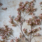 Abigail Ahern Faux Prunus en fleurs
