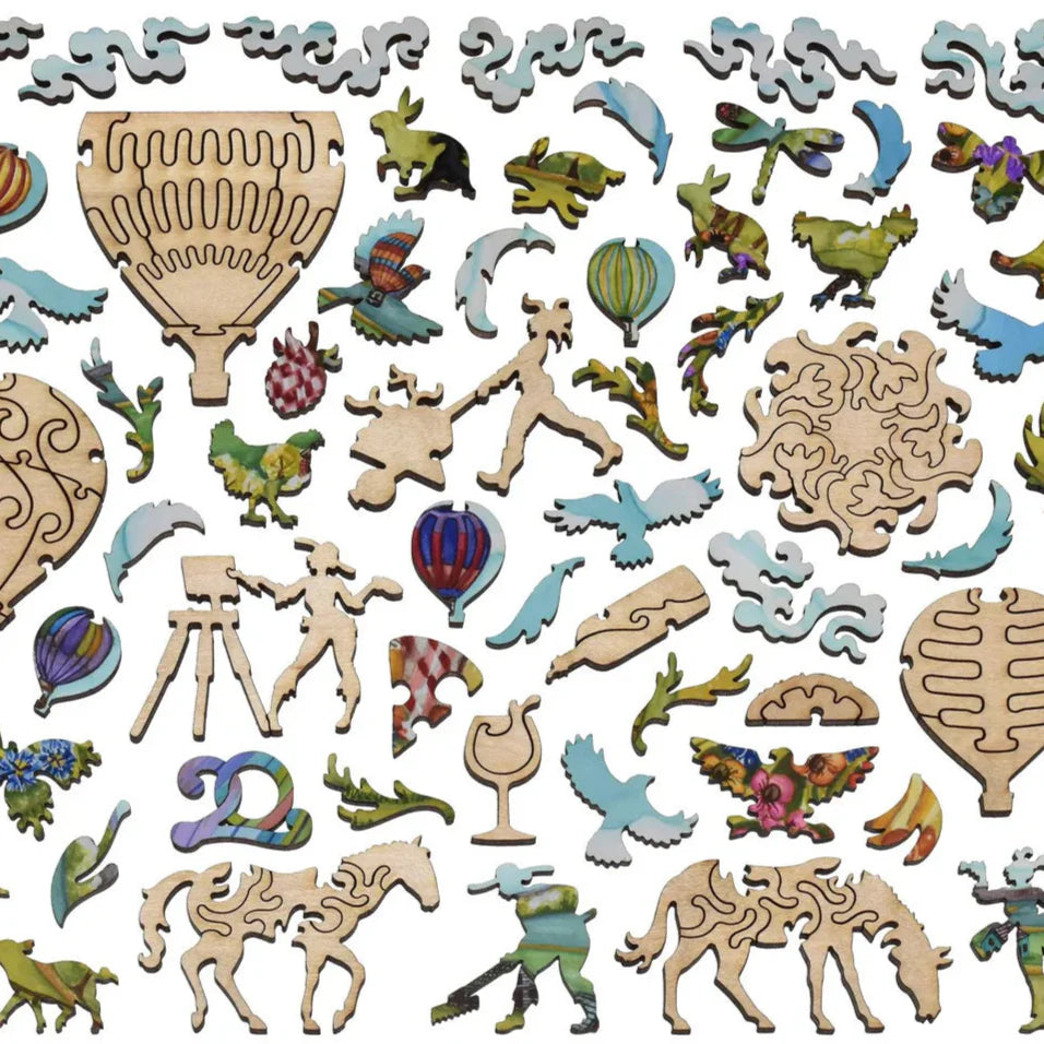 Ballons puzzle de la Liberté au-dessus des terres agricoles