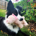 Jouet pour chien Cochon Baller de la Ferme