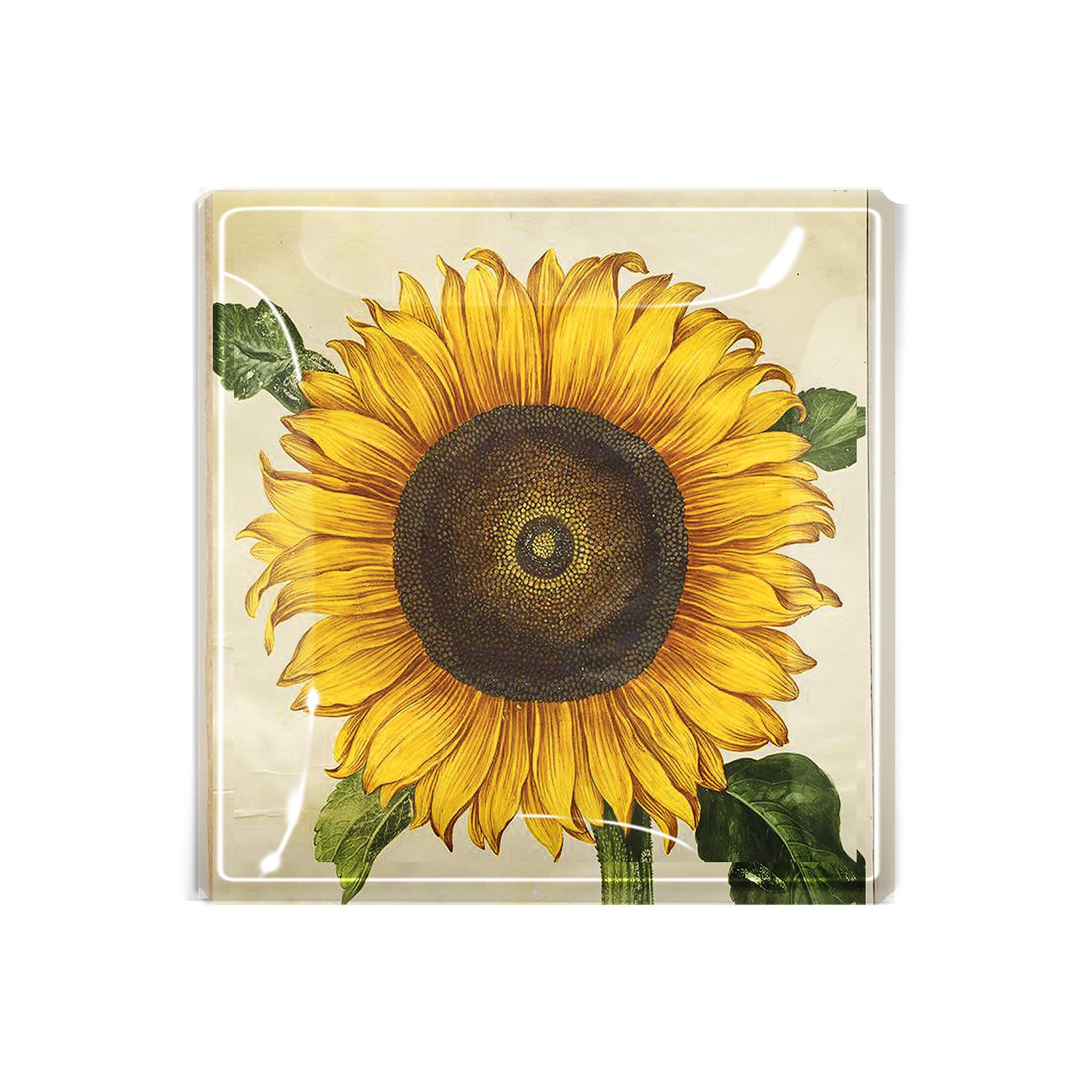 Plateau en verre décoré de tournesols