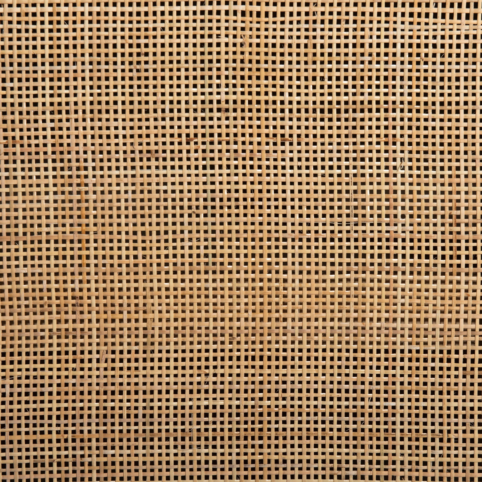 Bibliothèque large Four Hands Caprice en manguier naturel