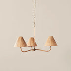 Lustre Delphine
