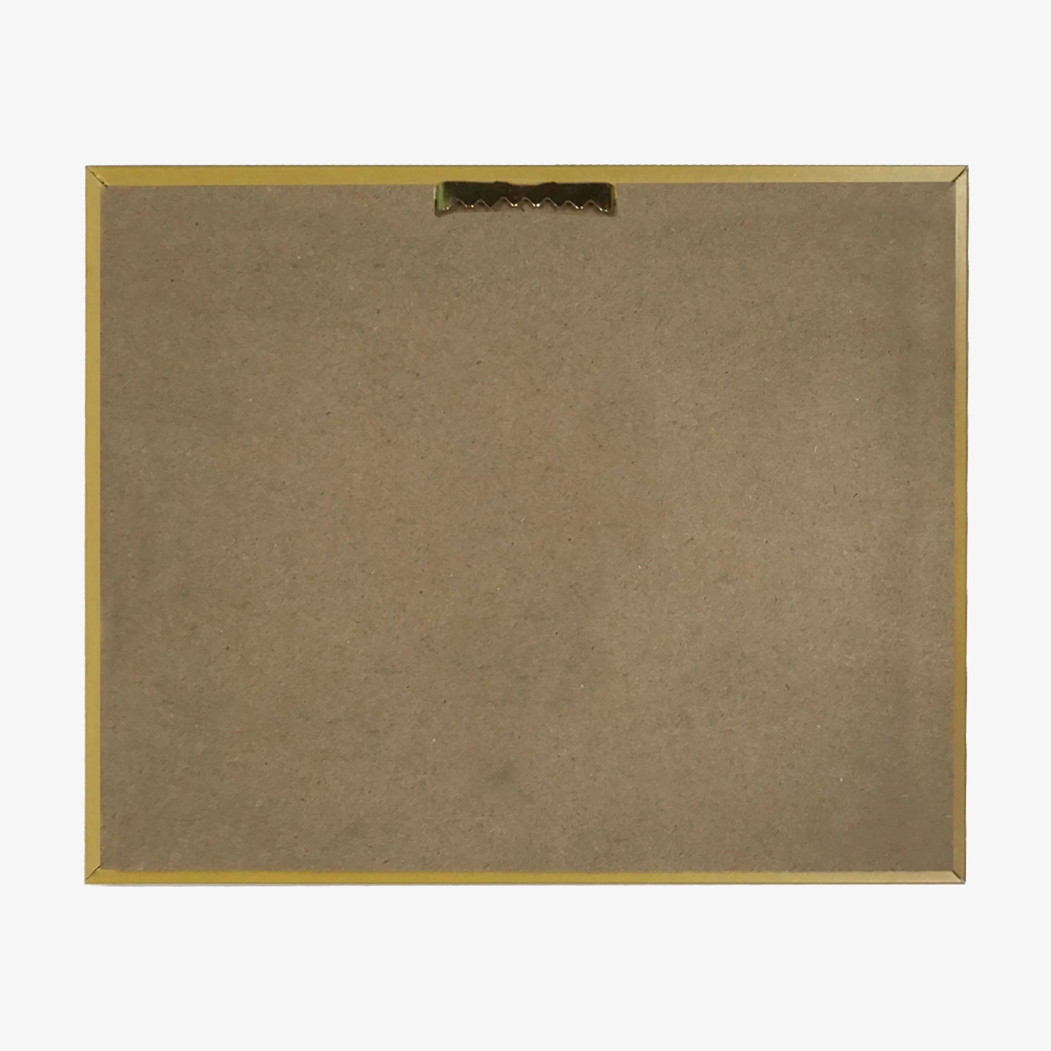 Illustration vintage de renard et de plumes