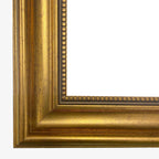 Illustration vintage de renard et de plumes